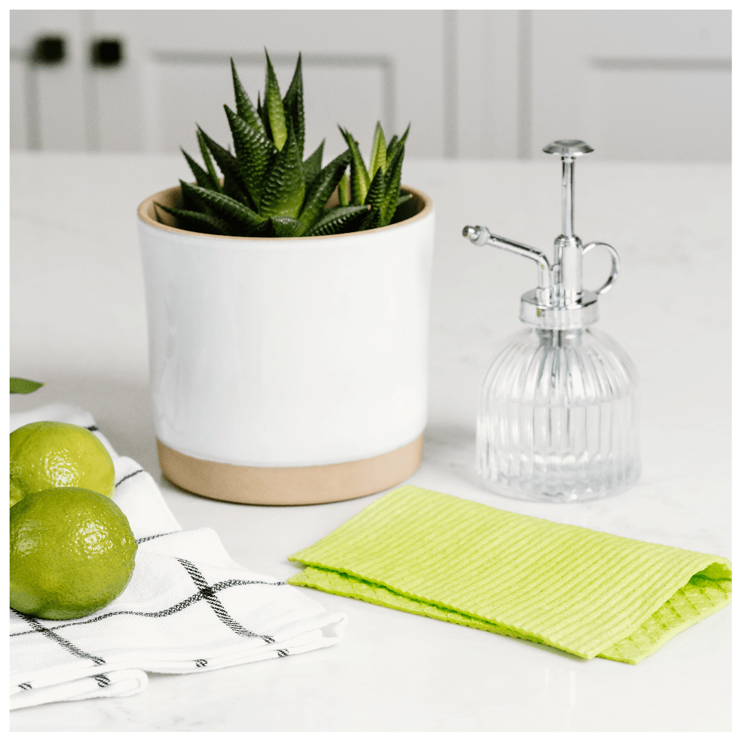 Swedish Cloth in color of apple green on a kitchen counter