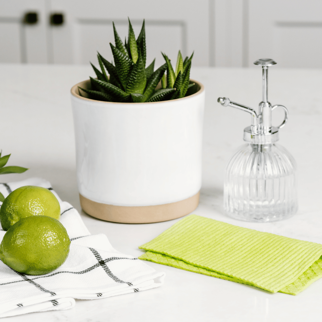 Swedish dish cloth folded in apple color with limes and a plant